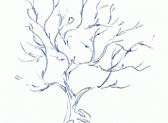 Wallpapers Art - Pencil Arbre doux