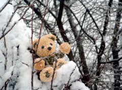 Fonds d'cran Objets Petit Ours dans la neige