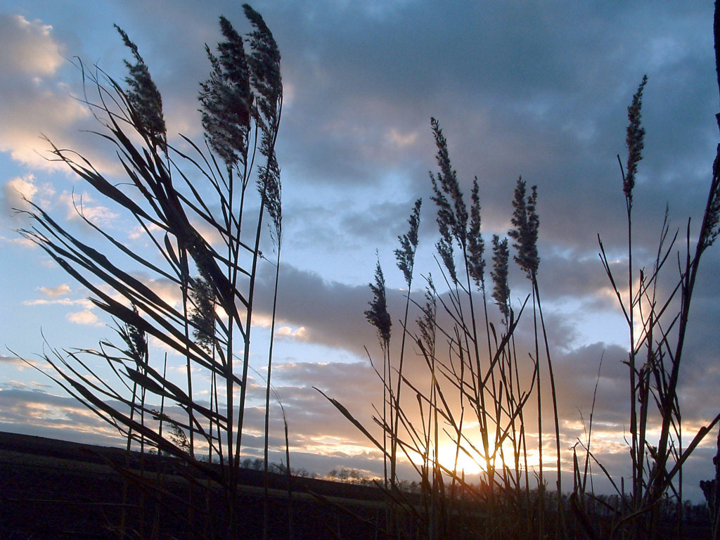 Wallpapers Nature Sunsets and sunrises Mlancolie....