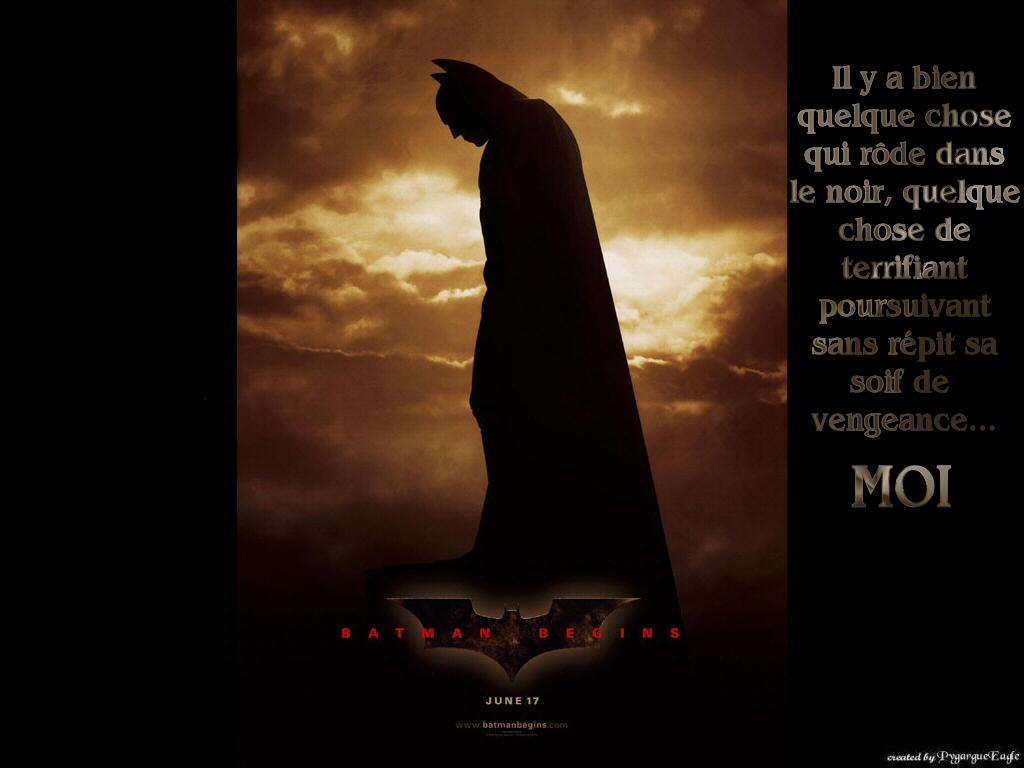 Wallpapers Movies Batman Begins Il y a bien quelque chose....