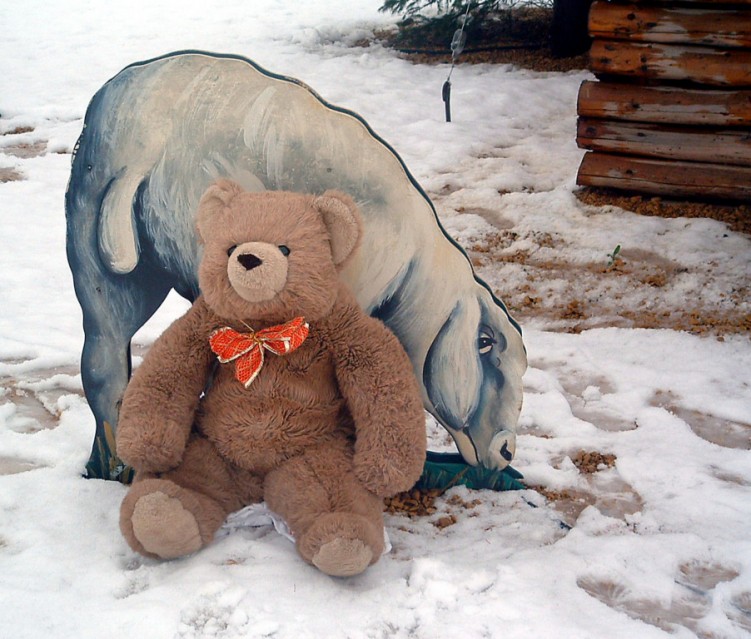 Fonds d'cran Objets Peluches Gros Nounours dans la neige