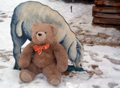 Fonds d'cran Objets Gros Nounours dans la neige