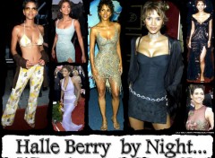 Fonds d'cran Clbrits Femme Halle Berry