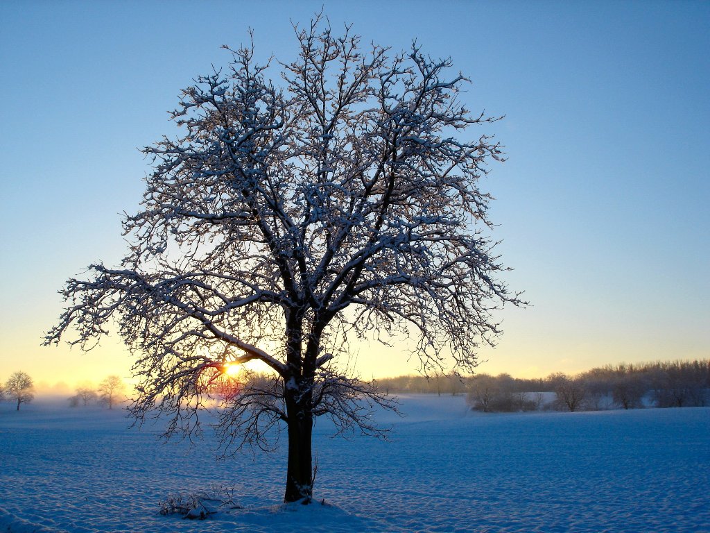 Fonds d'cran Nature Saisons - Hiver Un matin enneig