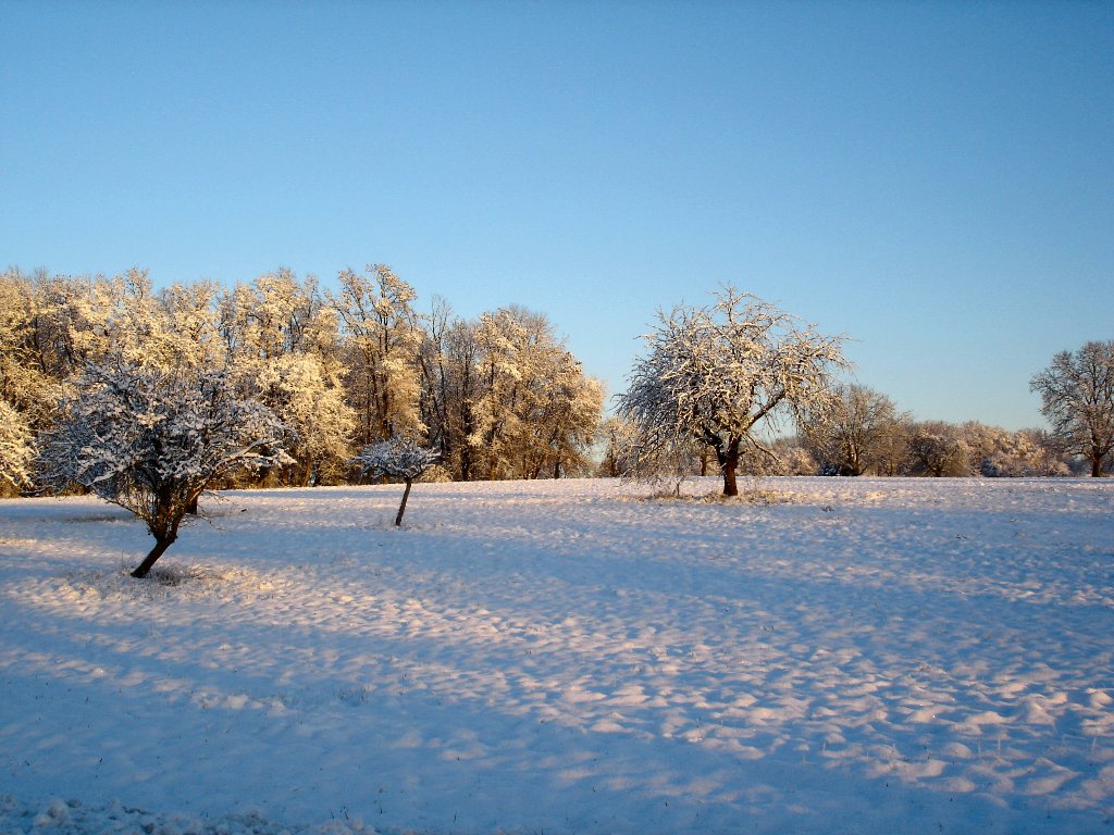 Fonds d'cran Nature Saisons - Hiver 