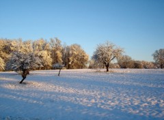 Fonds d'cran Nature Image sans titre N86269