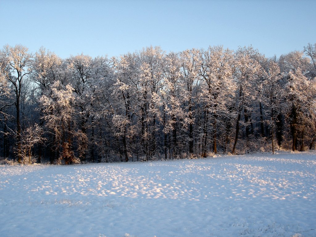 Fonds d'cran Nature Saisons - Hiver Alsace / rgion des 3 frontires