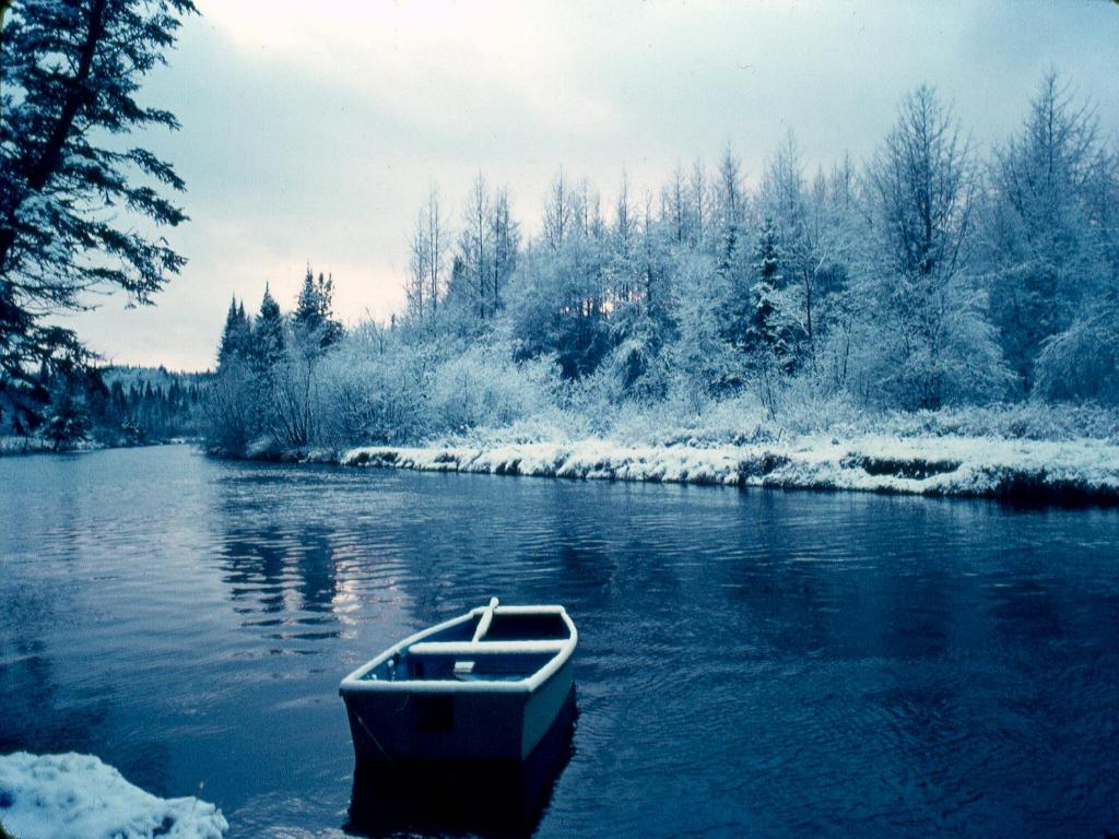 Fonds d'cran Nature Saisons - Hiver 1ER NEIGE