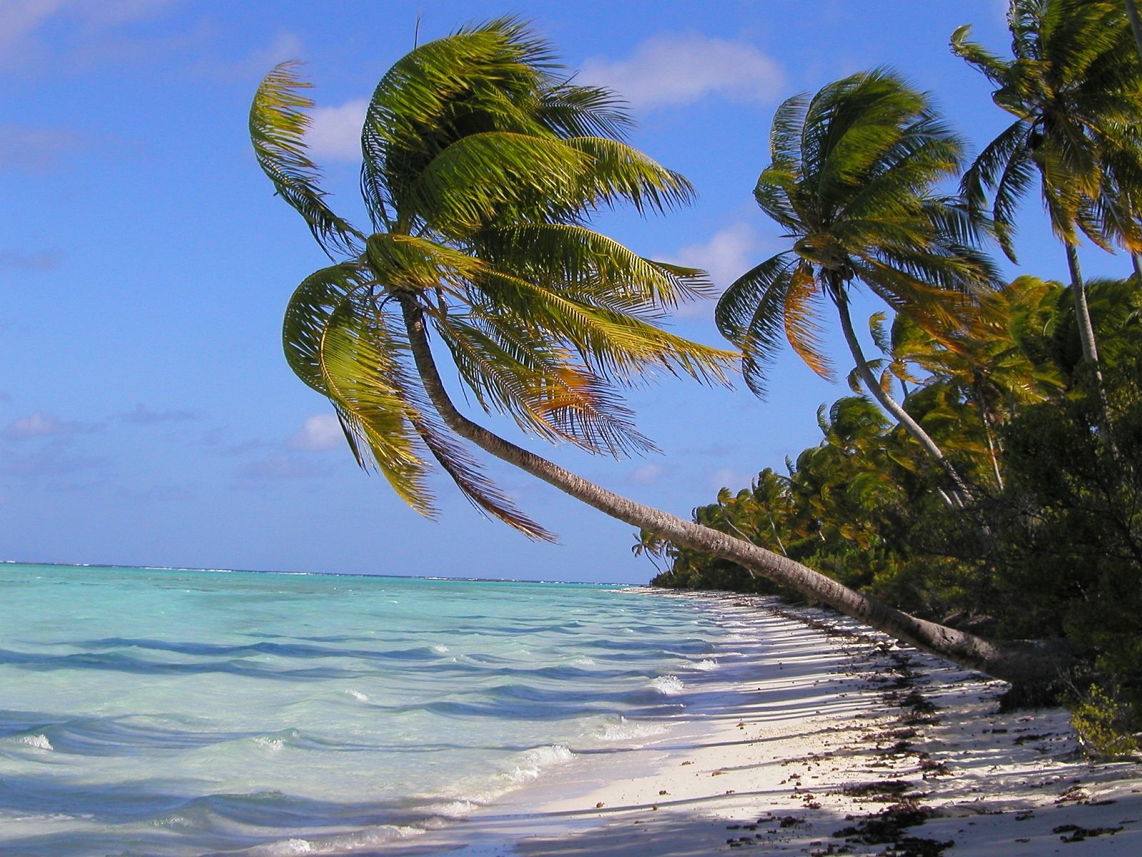 Fonds d'cran Nature Iles Paradisiaques Tahiti tetiaroa 2