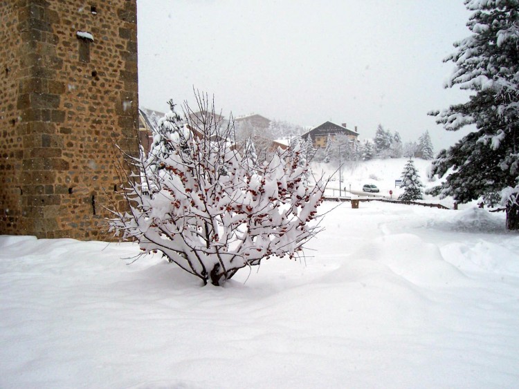 Fonds d'cran Nature Saisons - Hiver auron