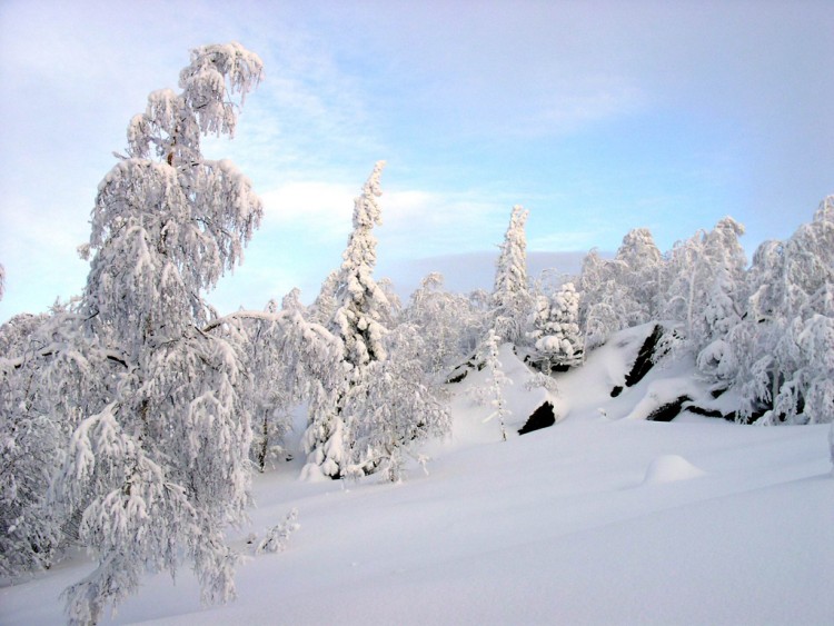 Fonds d'cran Nature Saisons - Hiver Taganai, winter 2004 (Ural, Russia) [4]