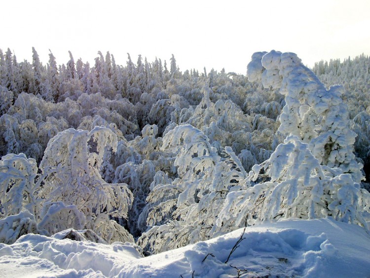 Fonds d'cran Nature Saisons - Hiver Taganai, winter 2004 (Ural, Russia) [5]