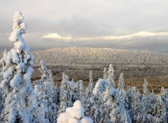 Fonds d'cran Nature Taganai, winter 2004 (Ural, Russia)