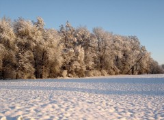 Fonds d'cran Nature Alsace / Rgion des 3 frontires