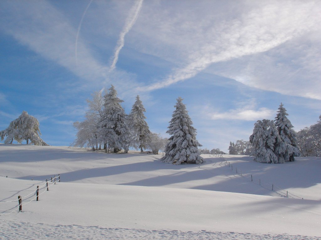 Fonds d'cran Nature Saisons - Hiver Jura Suisse