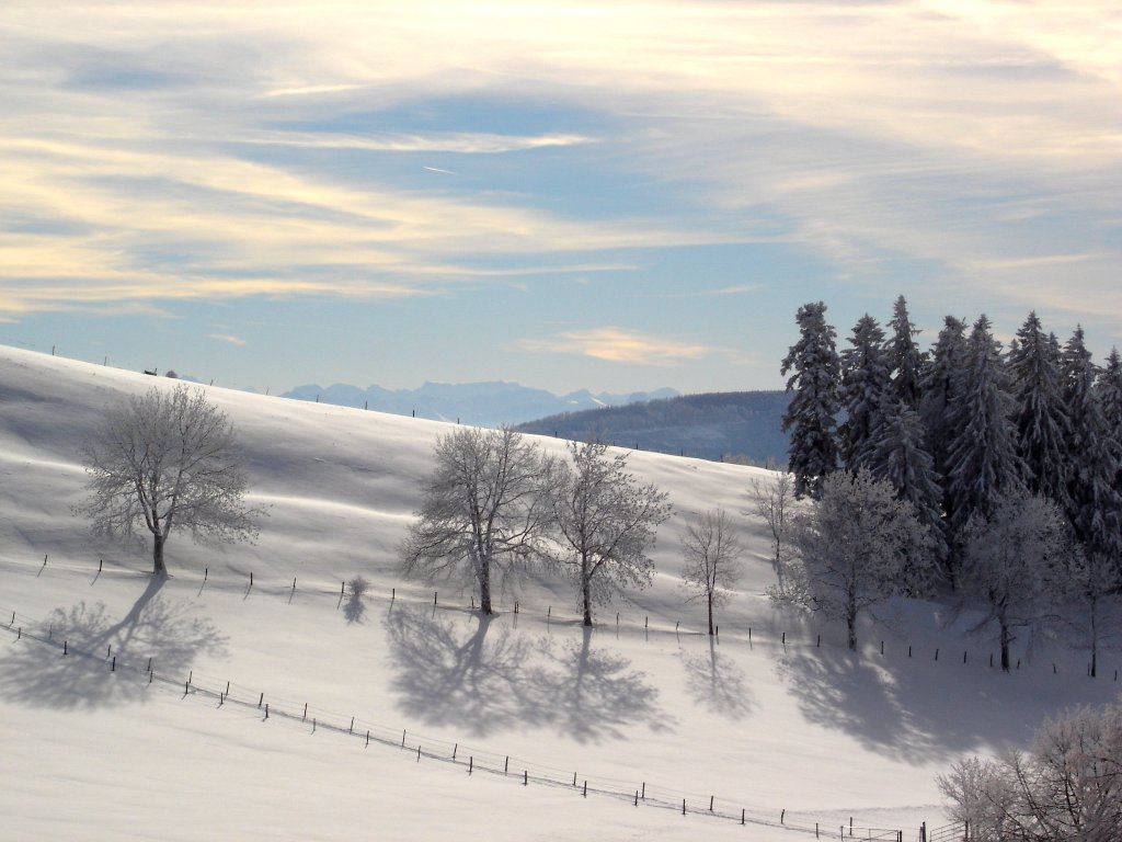 Fonds d'cran Nature Saisons - Hiver Jura suisse - col du passwang