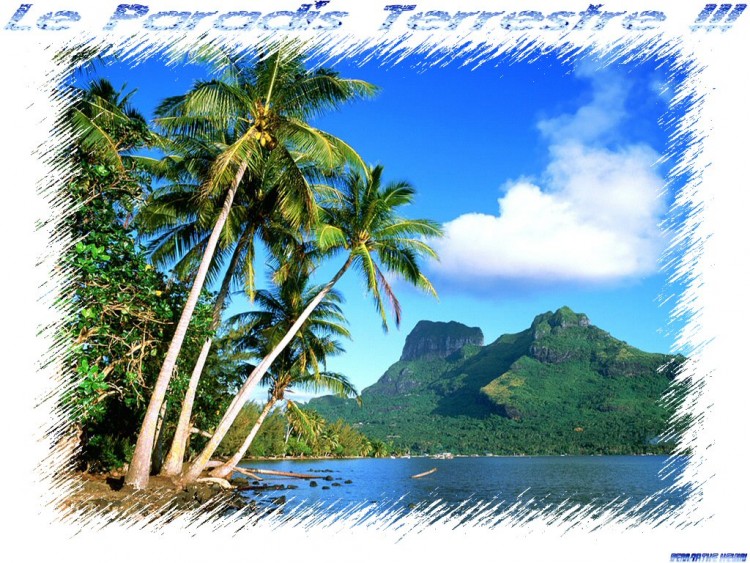 Wallpapers Nature Seas - Oceans - Beaches Le Paradis Sur Terre !!!!!!