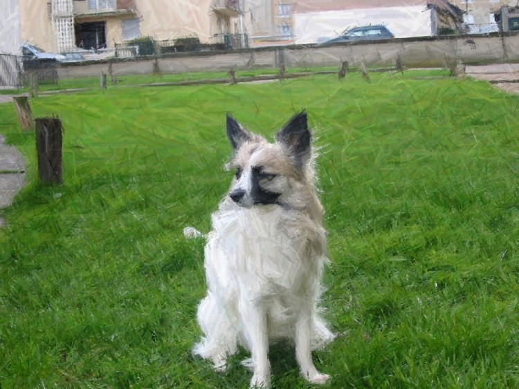 Fonds d'cran Animaux Chiens Coup de crayon...