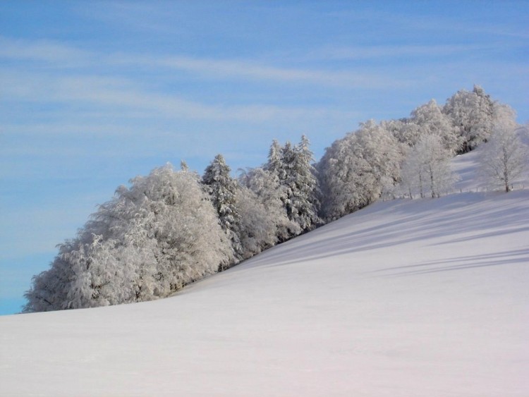 Fonds d'cran Nature Saisons - Hiver Jura Suisse