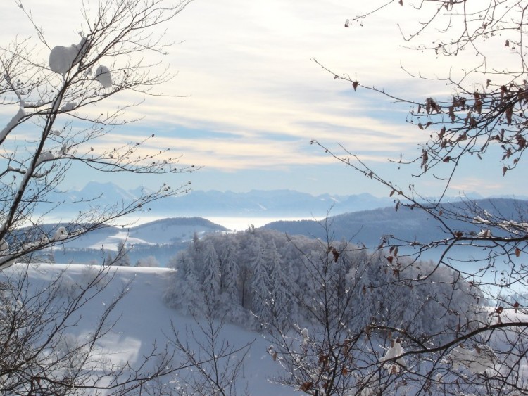 Fonds d'cran Nature Saisons - Hiver Jura suisse