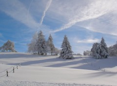 Wallpapers Nature Jura Suisse