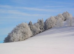 Wallpapers Nature Jura Suisse