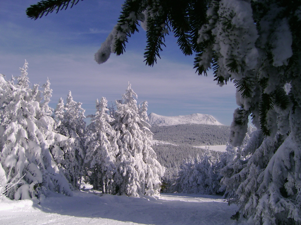 Wallpapers Nature Saisons - Winter Le Mezenc enneig