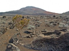 Wallpapers Trips : Africa Ile de la Reunion