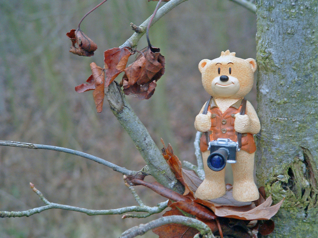 Fonds d'cran Objets Statuettes - Sculptures Petit Ours en chasse...