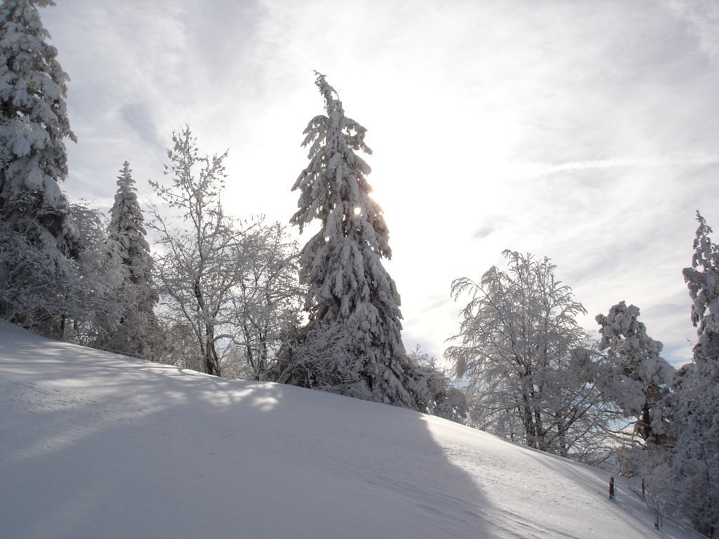 Fonds d'cran Nature Saisons - Hiver 