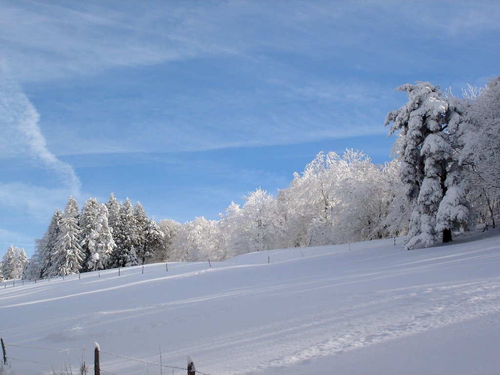 Fonds d'cran Nature Saisons - Hiver 