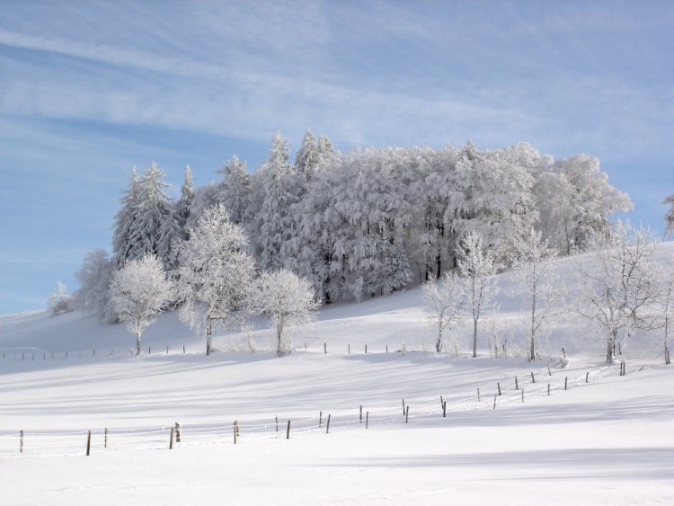 Wallpapers Nature Saisons - Winter Jura suisse