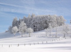 Wallpapers Nature Jura suisse