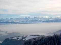 Wallpapers Nature Jura suisse