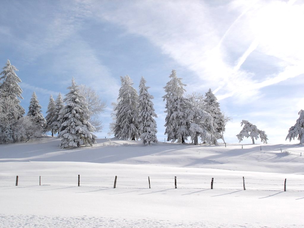 Wallpapers Nature Saisons - Winter 