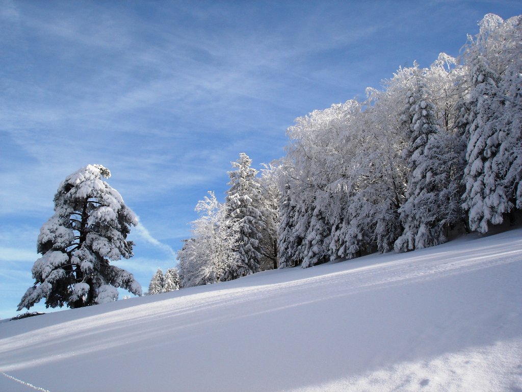 Fonds d'cran Nature Saisons - Hiver 