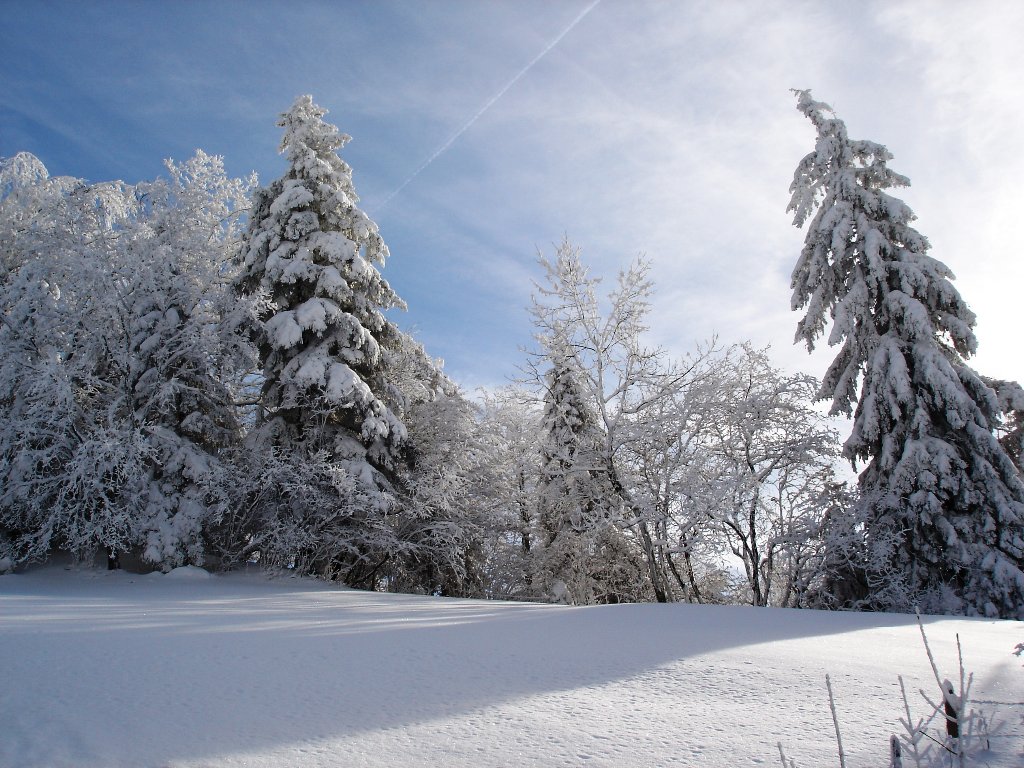 Fonds d'cran Nature Saisons - Hiver 