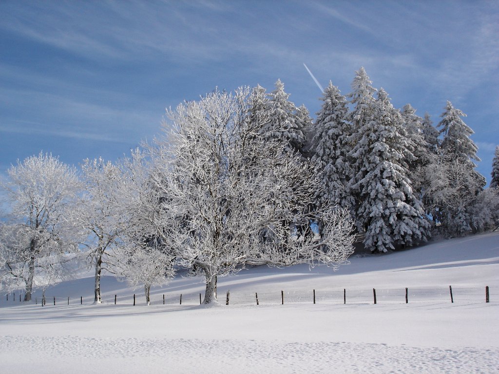 Fonds d'cran Nature Saisons - Hiver 