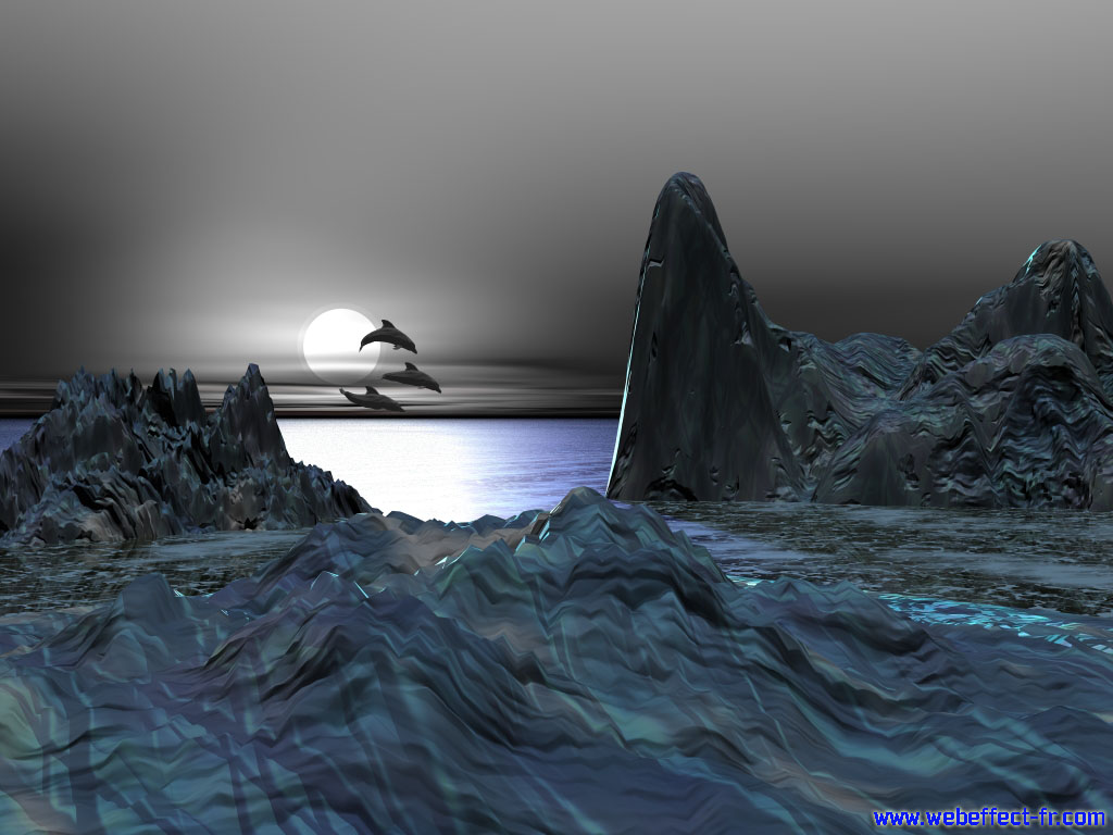 Wallpapers Digital Art 3D - Bryce 3D Dolphins