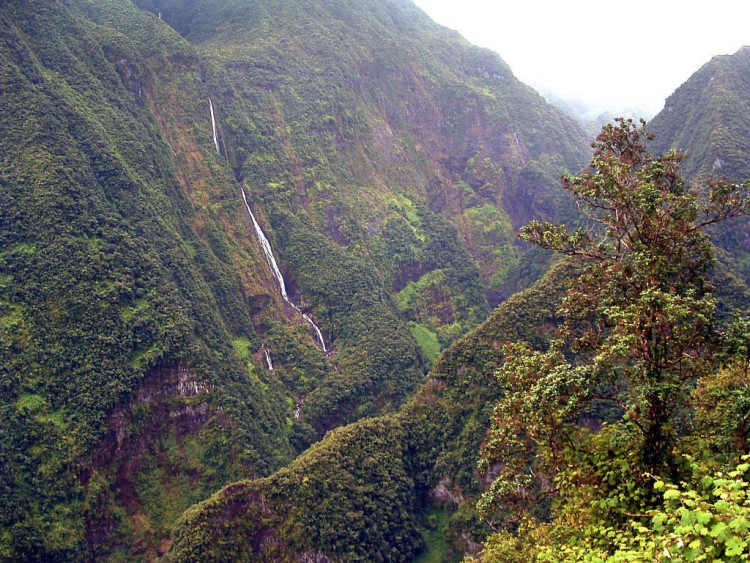 Fonds d'cran Voyages : Afrique La Runion Ile de la Reunion