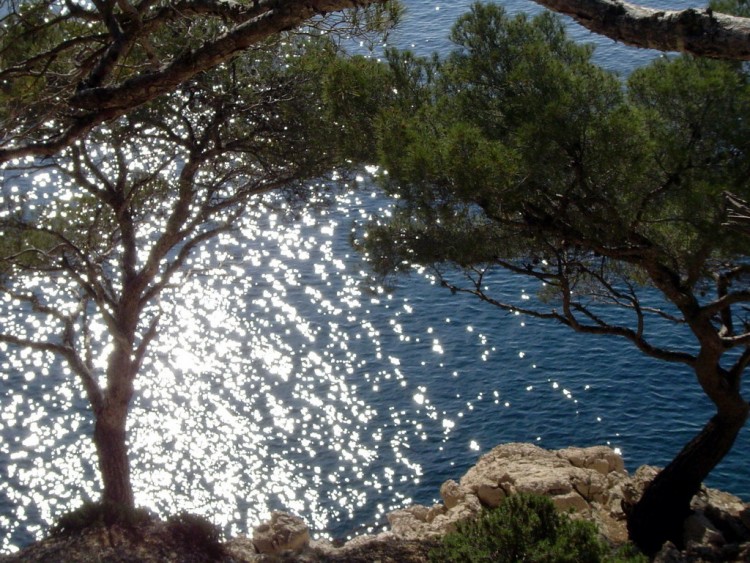 Wallpapers Nature Seas - Oceans - Beaches Calanques de Cassis