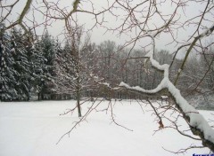 Fonds d'cran Nature Aux alentours de Ecot (Doubs)