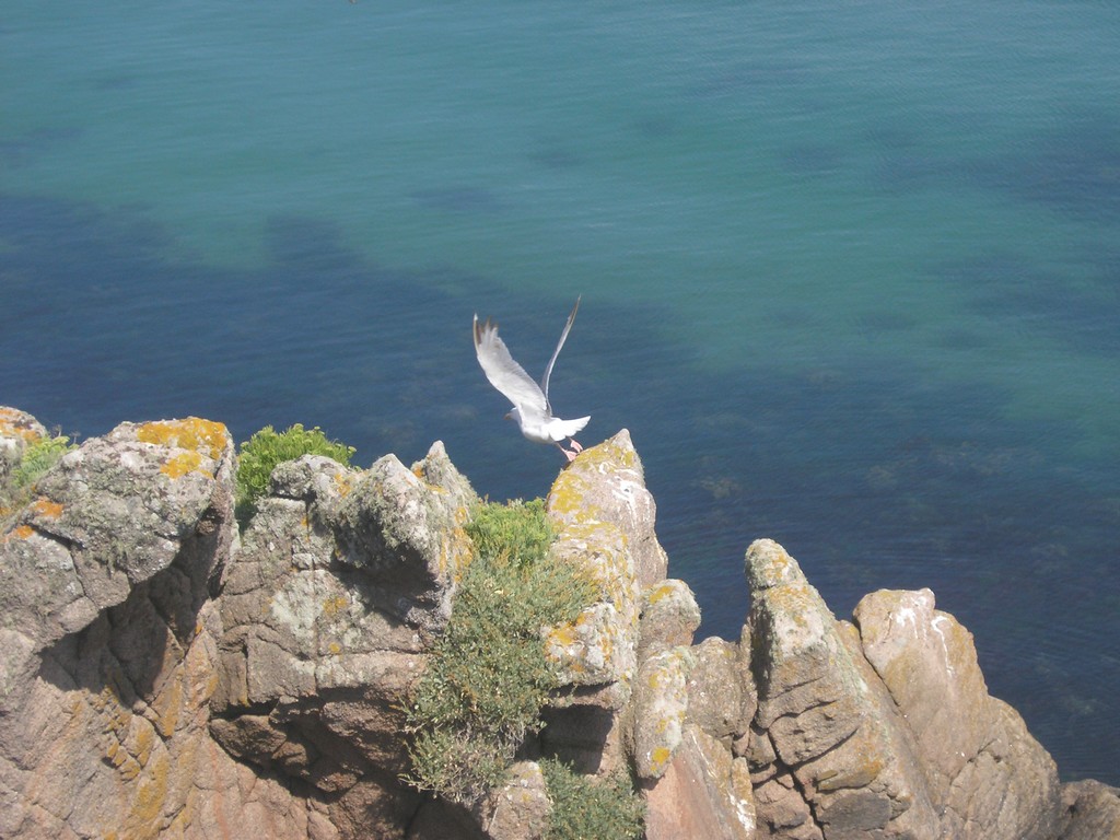 Fonds d'cran Nature Mers - Ocans - Plages Ile de Houat