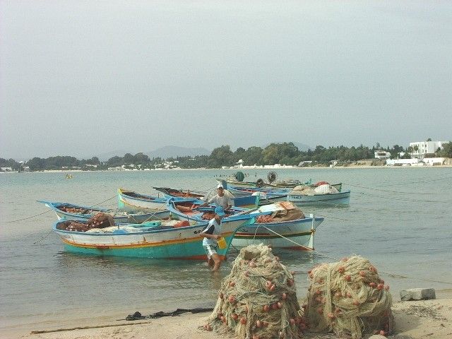 Wallpapers Trips : Africa Tunisia bateaux a hammamet