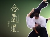 Wallpapers Sports - Leisures Aikido Tissier Shihan