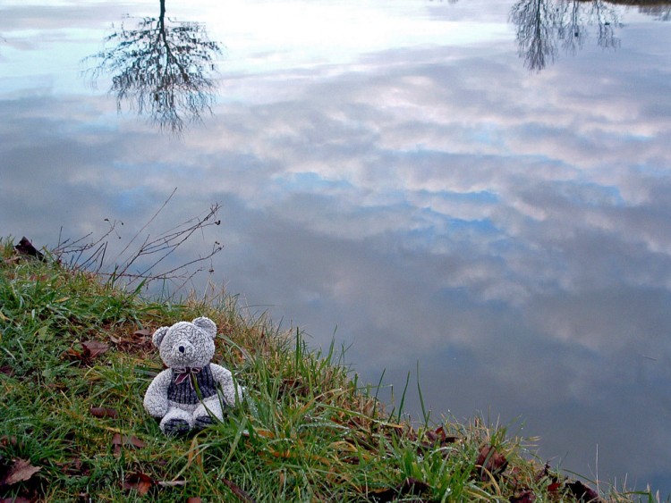 Wallpapers Objects Cuddly Petit ours entre ciel et eau...