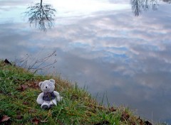 Wallpapers Objects Petit ours entre ciel et eau...