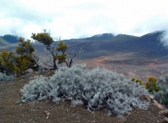 Fonds d'cran Voyages : Afrique Ile de la Reunion