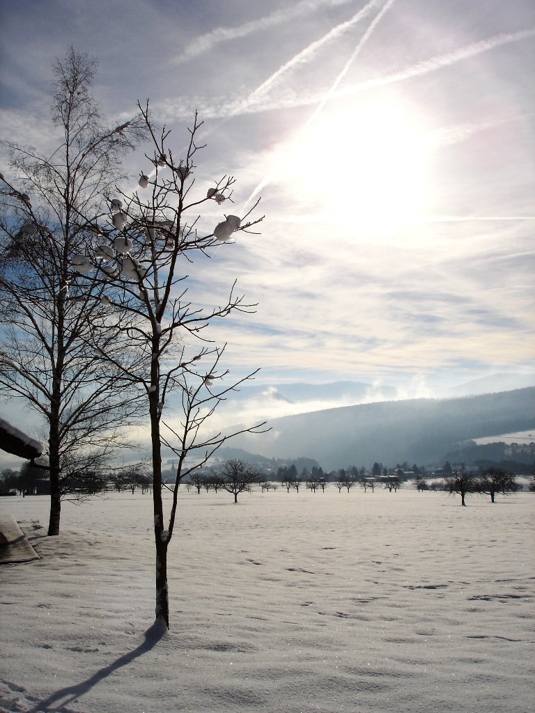 Fonds d'cran Nature Saisons - Hiver 