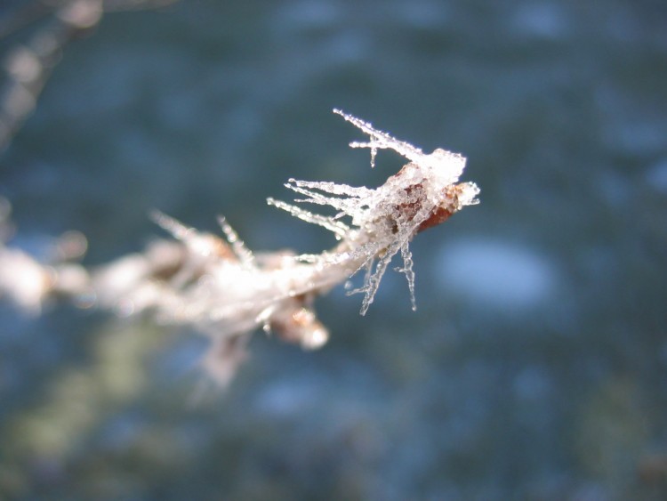 Fonds d'cran Nature Saisons - Hiver Pics de glace